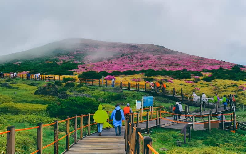 Jeju